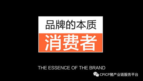 肖一刀 從無到有，打造豬肉品牌的創新之路